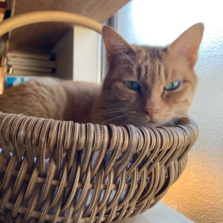 89d0ec59 1294 4072 b8f8 4a0a3ddb50ea 1711666799768