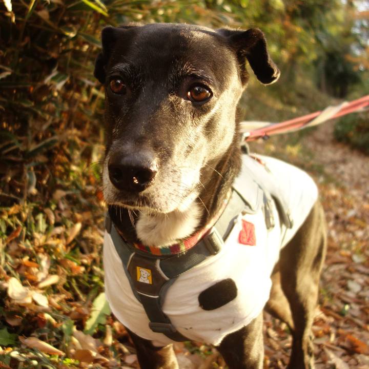 89d103ab 9e85 4609 b103 d552cb87d6f2 1734132359075