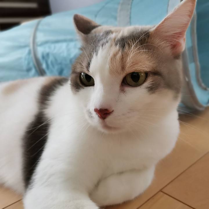 89d1362a 28c3 4959 bda0 8ffae574c959 1664163909592