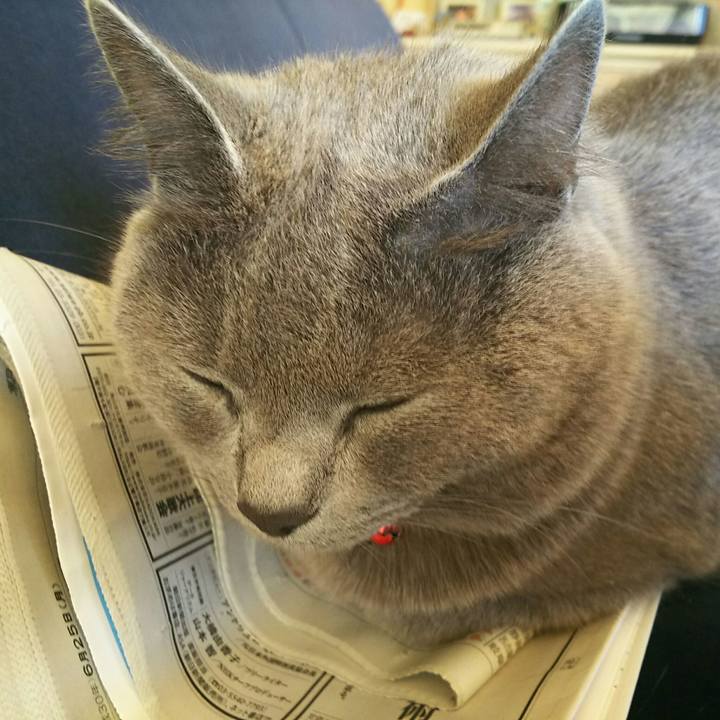 89d13b6a 37ee 470a 986d a2a4f20655a3 1529900514285