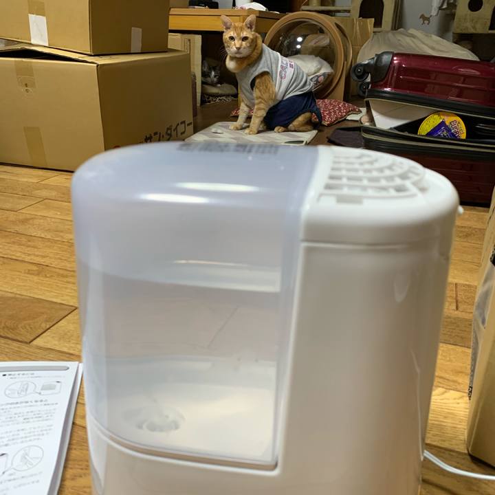 89d13f3f ea30 4592 a9ab 00d085e555bc 1615717617373