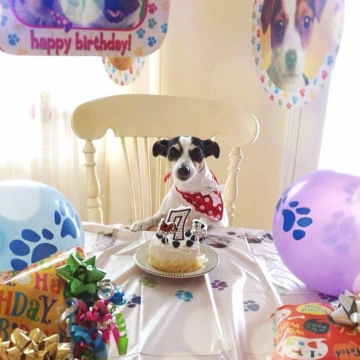 89d15159 df52 4019 b6ec 40ad59c890de 1686002966325