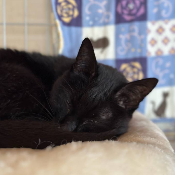 89d17256 f0fc 4578 ac8c c8906034f80e 1712629095662