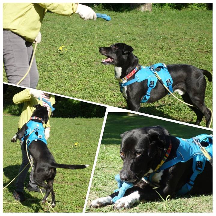 89d1948e 3adb 4cae a9fc ac6c9564c34b 1619049878406