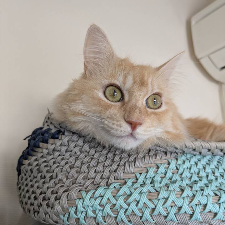 89d1aa51 fbb6 48e2 a013 cfed9ba8dca9 1759194855326