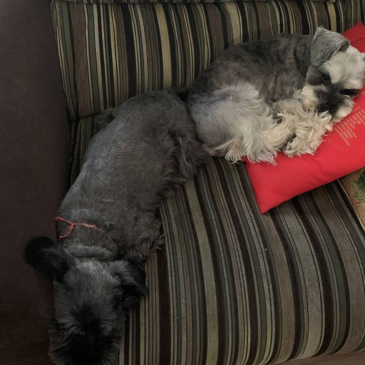 89d1b1f5 323b 4c1f 9e99 f79720db0e44 1597729428690