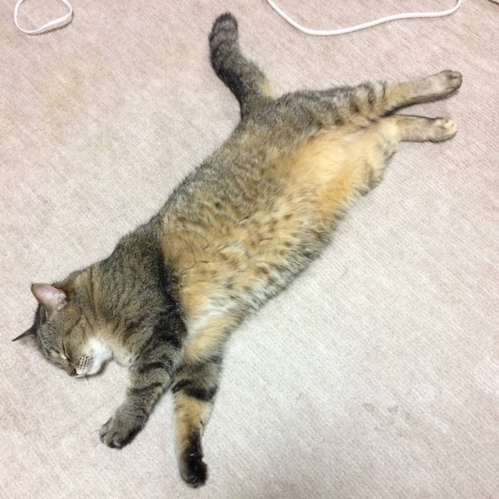 89d1fdc0 b4e1 4af6 a293 5a2b4b390e15 1596148833559