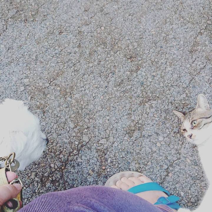 89d20f7a 8349 47ba 93d5 d3fe1b22673c 1535966183199