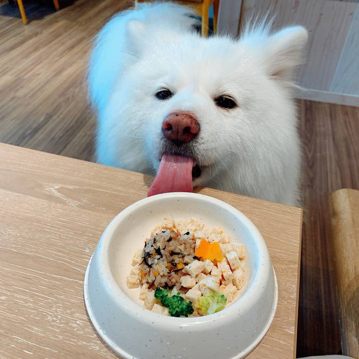 89d20fdf 3981 4934 9750 007668d7bad5 1596946730745