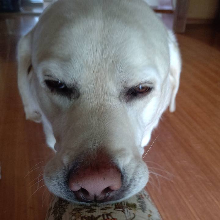 89d21075 3375 411b ba2f 3dab8bf280dd 1687411508044