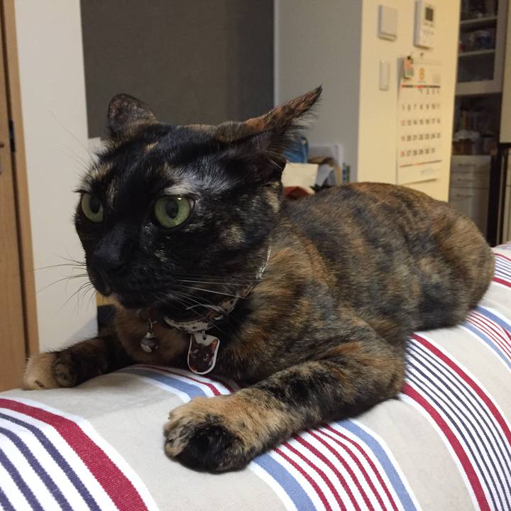 89d22dc9 2236 4df0 aa97 3a261ef724ee 1533478622433