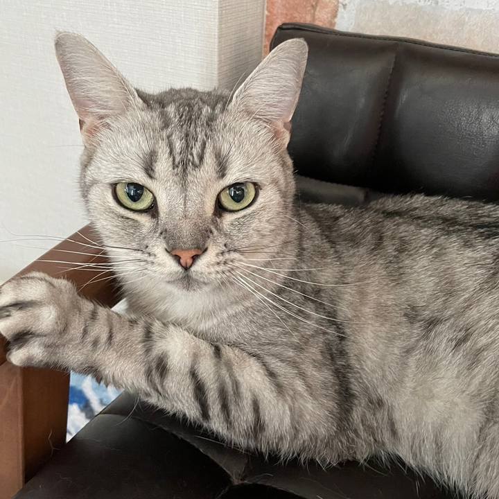 89d23ac0 ea87 47d8 96d4 eee3f762087c 1722828581156