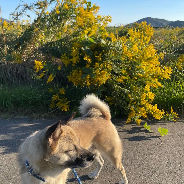 89d23dd1 a7bc 4d83 ace6 776a4bfd4216 1667042902209