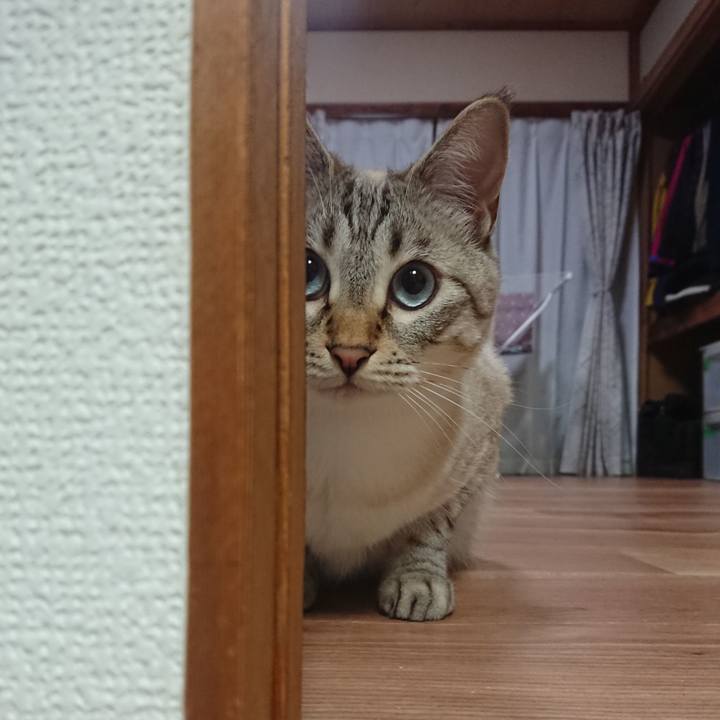 89d2c5d0 4938 45f3 a8d0 00c35ae410da 1532191557804