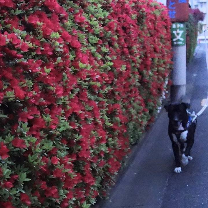 89d2ed01 1895 4920 9113 51ca1d020b5e 1649846608487