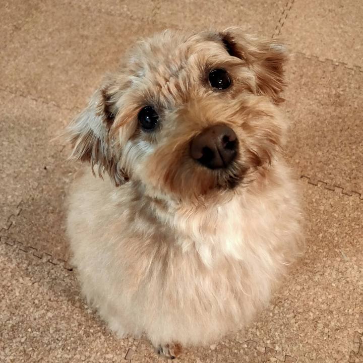 89d30a74 b4b0 4b83 9158 9b7f90d8b1b9 1606549732155