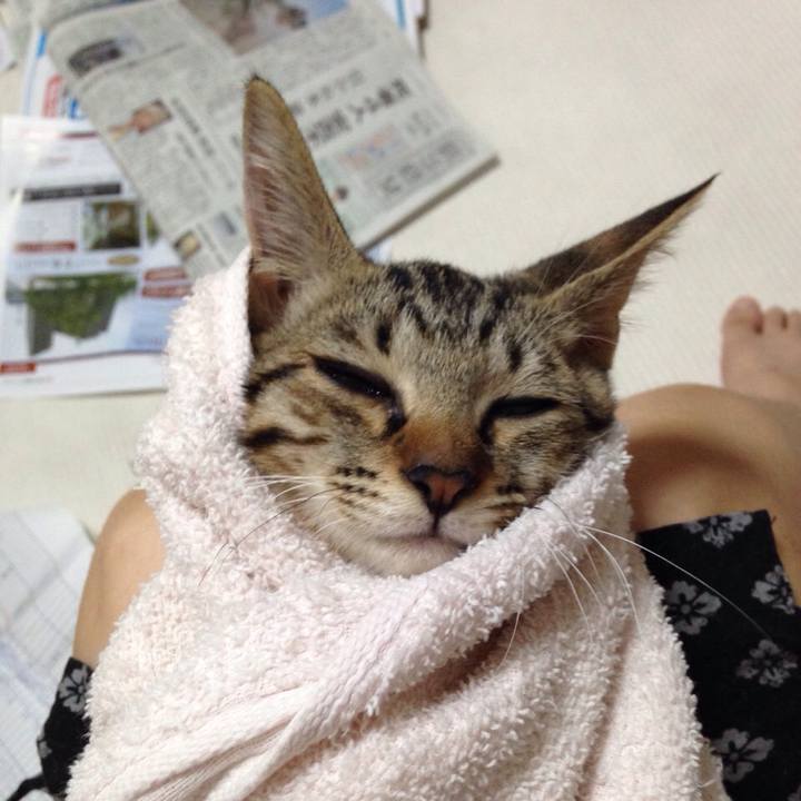 89d34755 8cbd 42c0 8f23 09398a452543 1514309745510