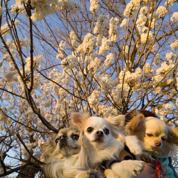 89d34c33 b1d1 4bb5 9145 7088e817e200 1647347321956