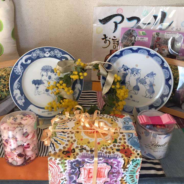 89d3d6be 31c8 43c8 9415 aa25baf0b955 1552789920656