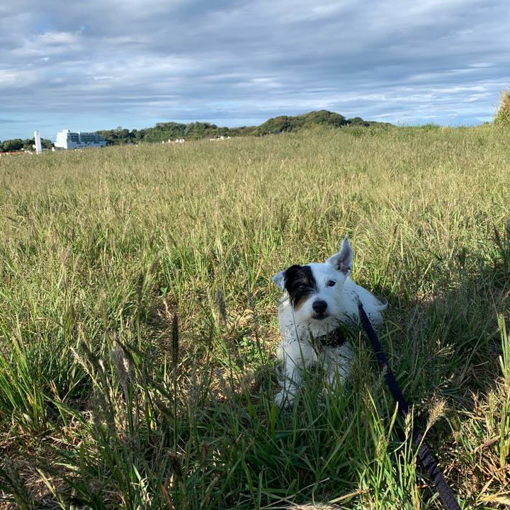 89d3e393 d2e1 4058 a80e 143f3f8c4289 1697930408884