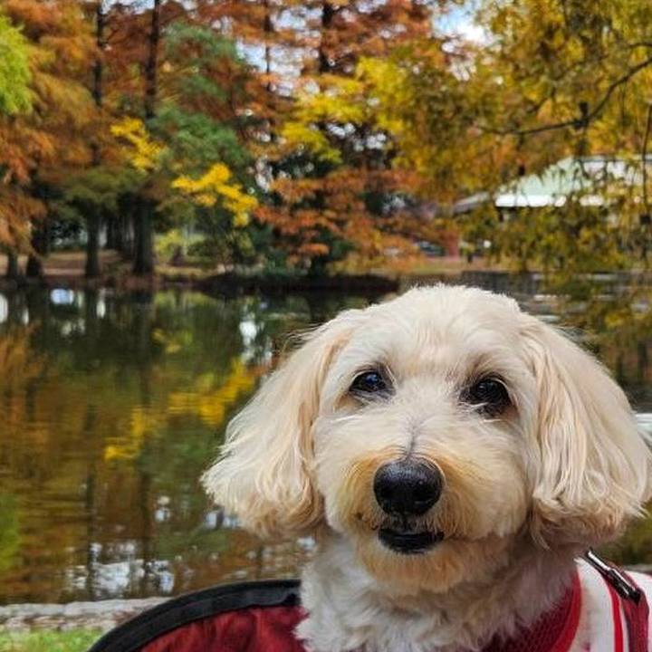 89d421e1 9c30 4920 b96d 3975dce45525 1763353960454