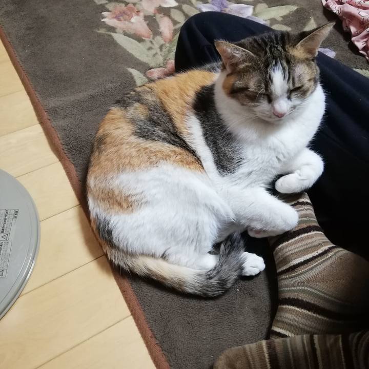 89d473a7 254b 41b7 bd8c 365b355de575 1704243345560