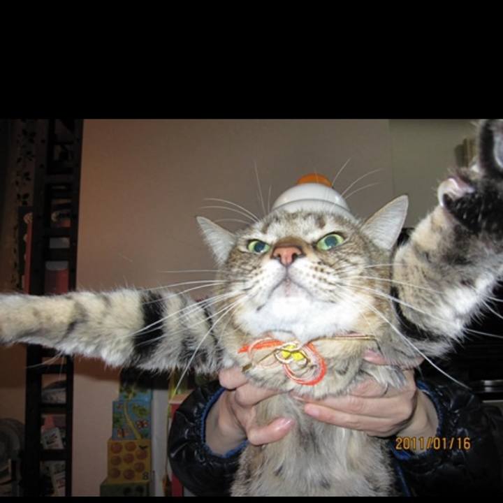 89d49640 b38d 42cf 8ede 7266a5fa576e 1697468718144