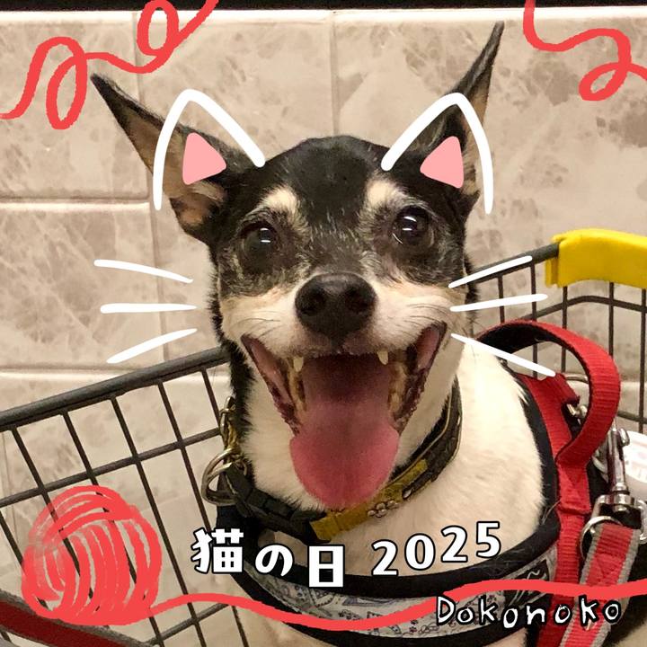 89d497f3 d9d8 4f72 8616 d8e87ccf2308 1740177408414