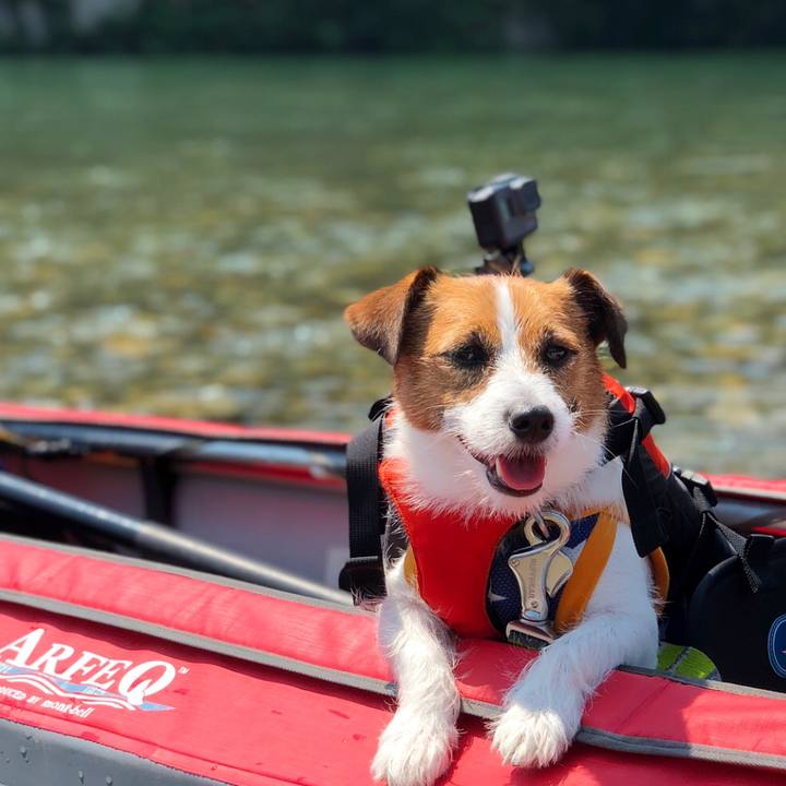 89d49f9f 3558 4b68 98b7 07f861b1dbb6 1531836126273