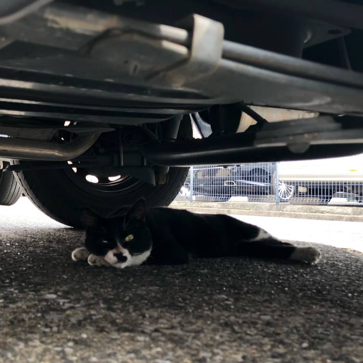 89d4b294 9629 44f0 86da c257981ca3f3 1534091570241