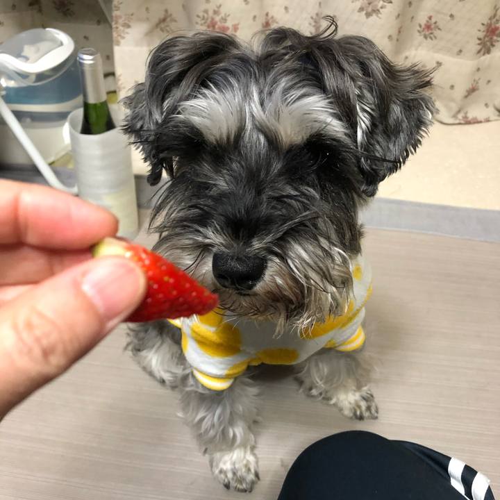 89d4c05e 11ab 4ed6 bf63 f1f366d555a1 1613392806078