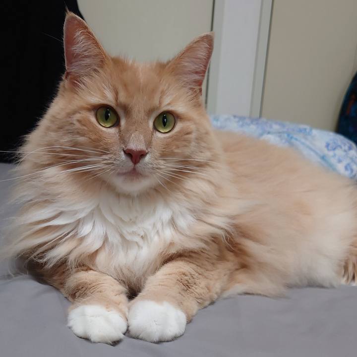 89d4c242 00d3 46c1 8130 6fd2749c392b 1594517425586