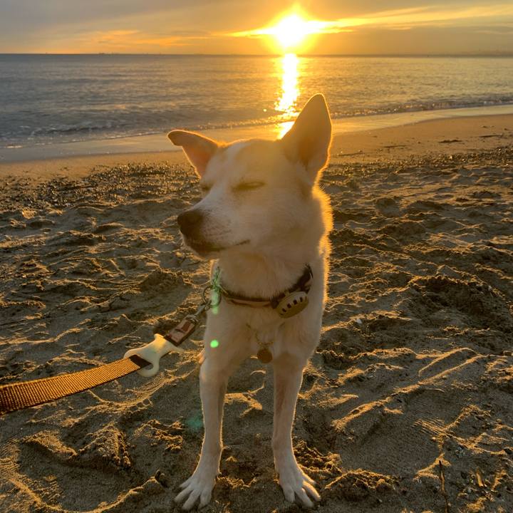 89d4c413 5d6d 4403 8327 a84e62330eba 1665751709494