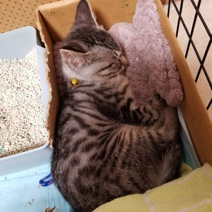 89d4cc3f 7bb5 4817 a4cd 55cb969f17d8 1664769460633