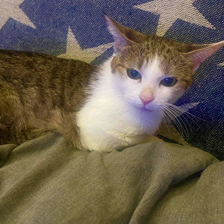 89d52002 a795 400c 8b7f 1ec838006b19 1632430210705