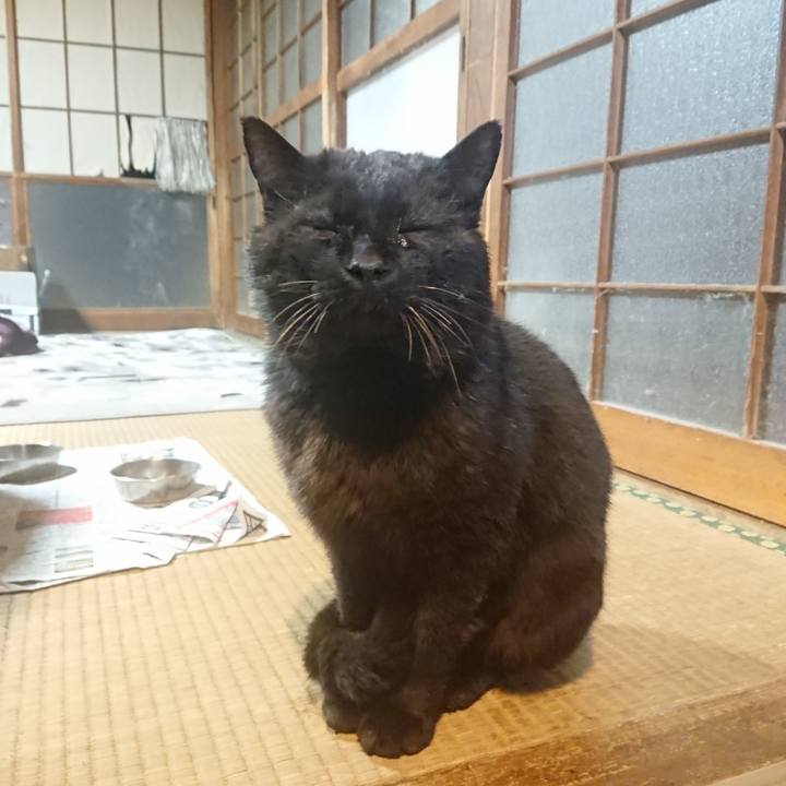 89d54058 7d2c 4354 afec 4e7ef75330a5 1618828025187