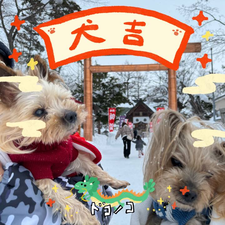 89d564a8 bf61 4f14 9a70 94b88f59fd10 1704200109963