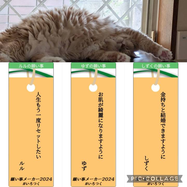 89d579d1 f781 4917 aa8a 8db8082f0833 1720353566278