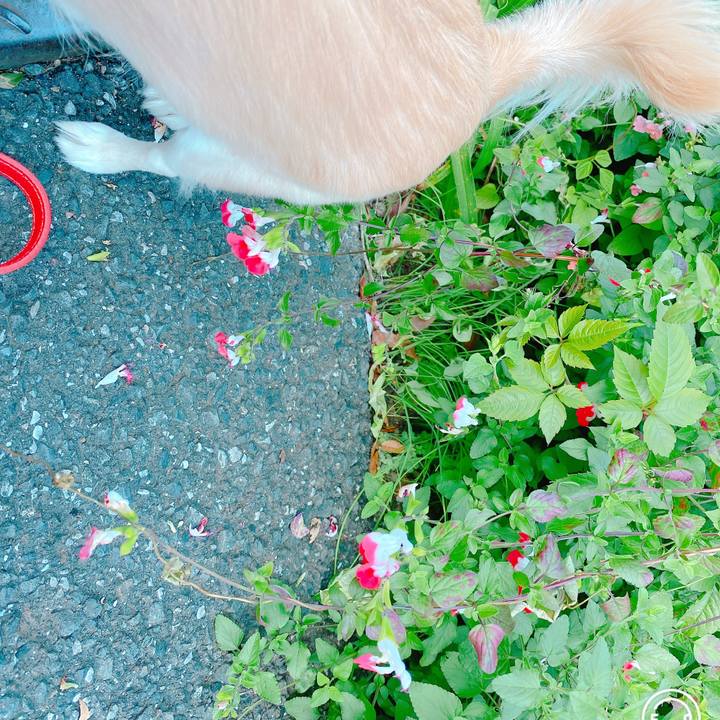 89d587ca b466 4430 b811 4c5d83b68695 1637136393965