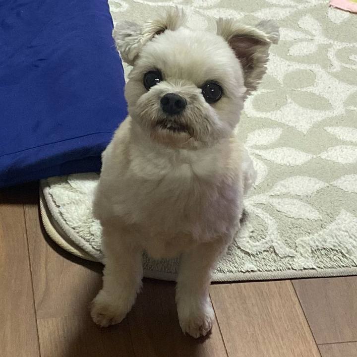 89d5be90 b6f6 4fe3 a190 0b21375b8c3e 1701868349924