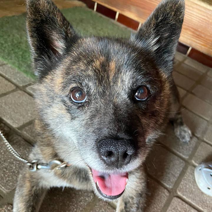 89d5db59 dcec 4aec 9d24 80506d42e244 1626253053933