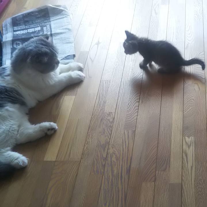 89d5f5c3 ed69 4d25 93c8 34b904ed7b8f 1632883122070