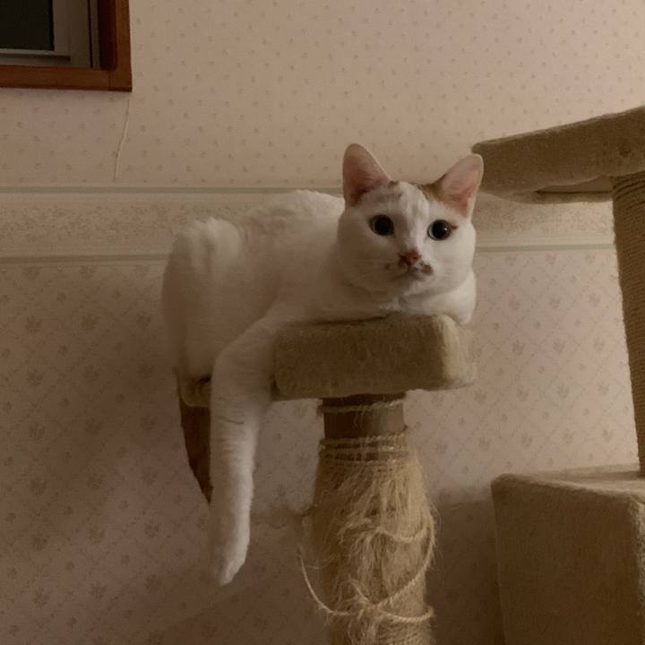 89d5fba3 ceb9 4f39 bf6e a7a17a7bc1c4 1646514186703