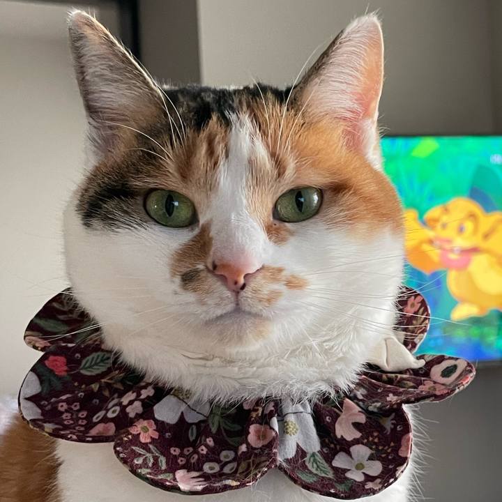 89d6164a 26e7 424f 87ed 9fbab47aaaf6 1739606346364