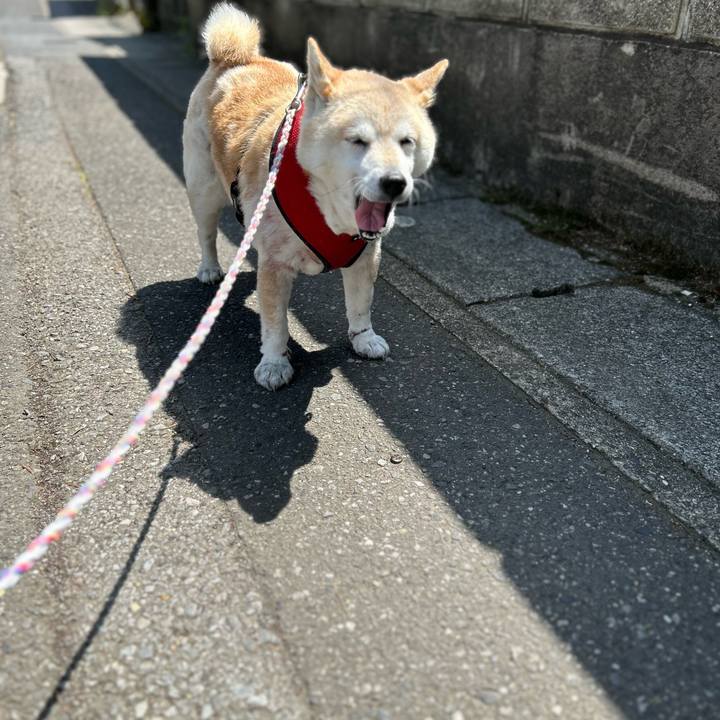 89d61eab 1f4e 4731 a784 90693471d0b4 1746421007844