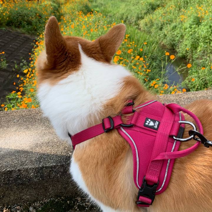 89d6b4a2 5ed6 4fcc 9003 7922f80a7597 1631662303640