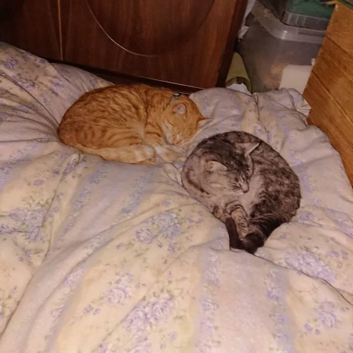 89d6fdac dc90 418a a89b 1b634f16312a 1583847765346