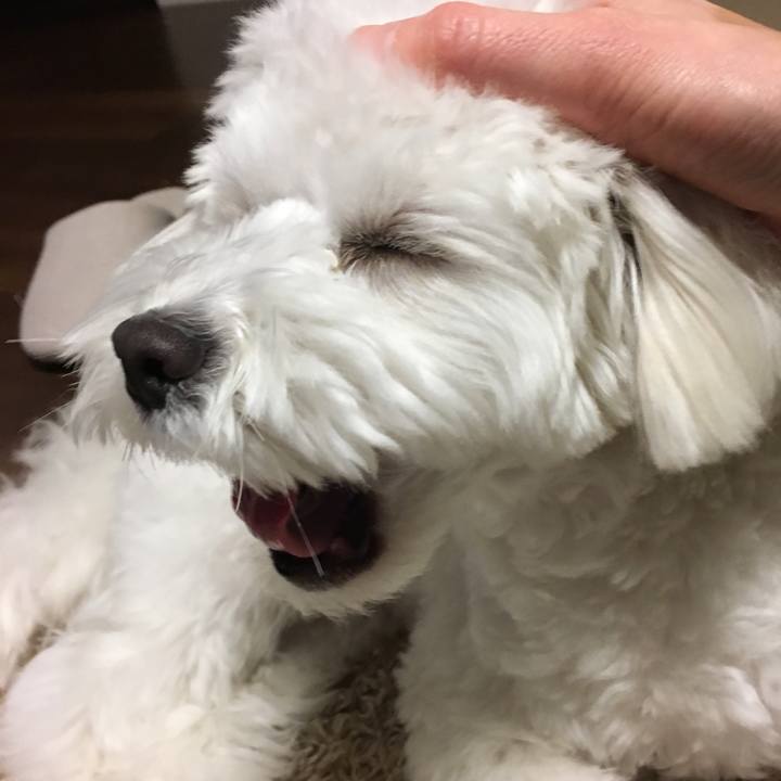 89d705b1 4c91 4642 b5c9 53fc2951125e 1518617776081