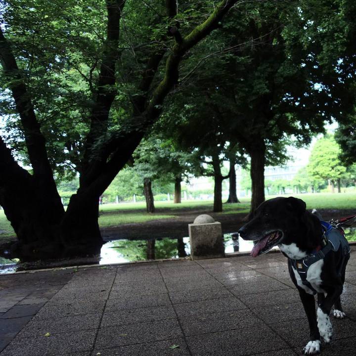 89d73019 a8d2 4671 9561 909f29178de3 1717465345659