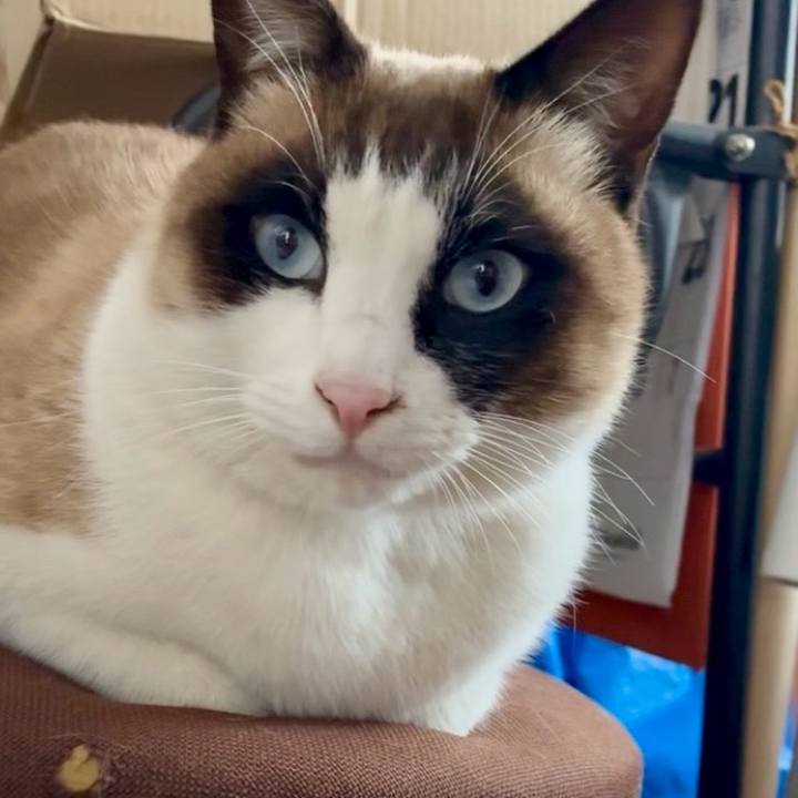 89d732b5 f0ff 4132 a211 8e133f23fe41 1770732883078